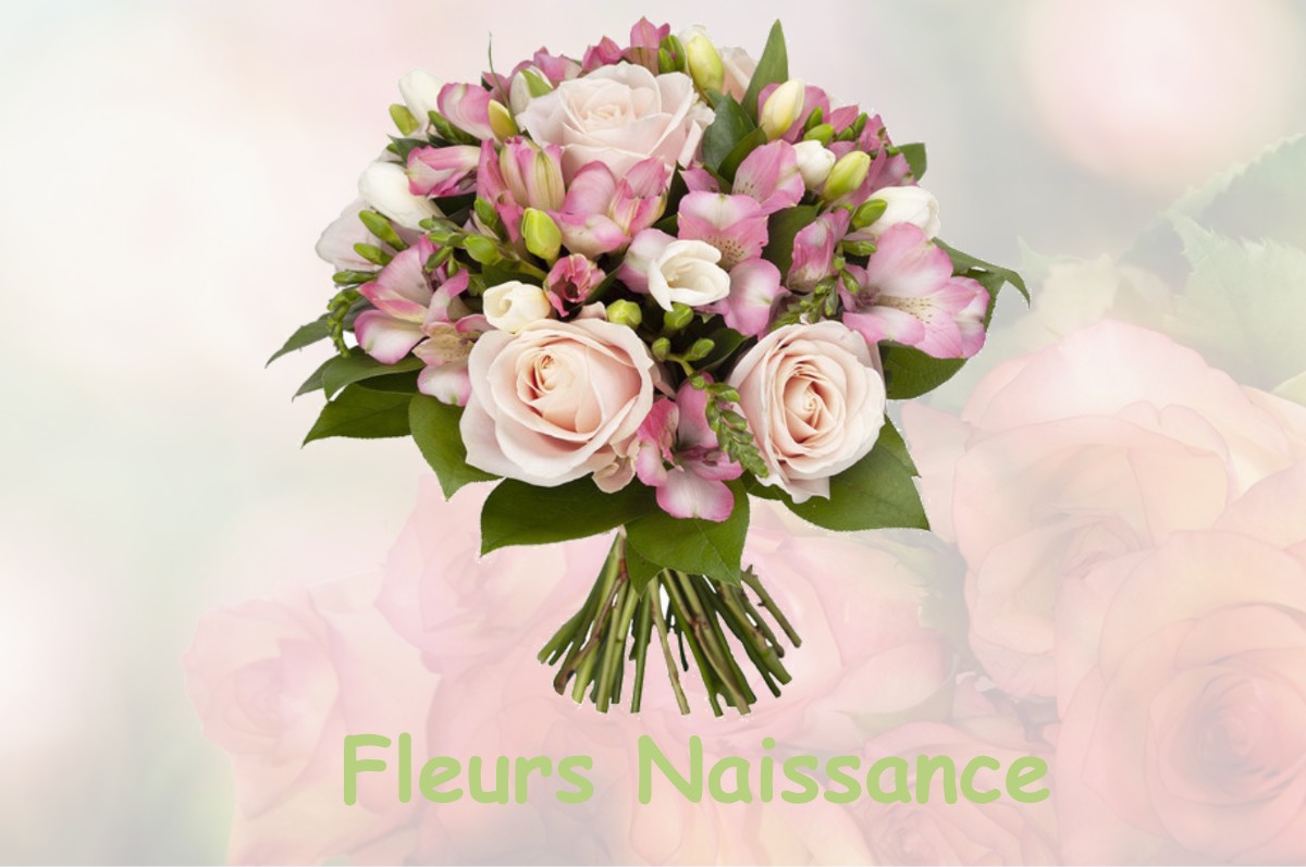 fleurs naissance GRUCHET-LE-VALASSE